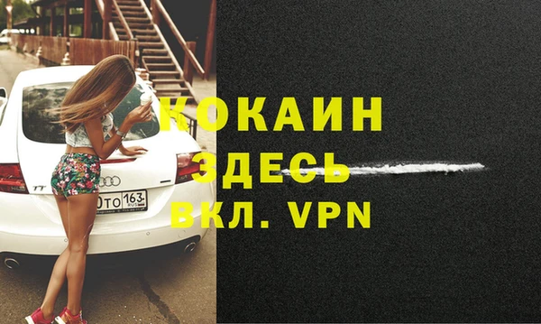 индика Верхний Тагил