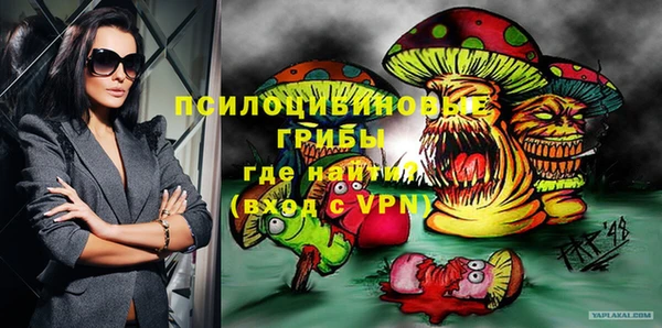 индика Верхний Тагил
