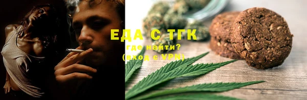 индика Верхний Тагил