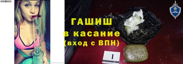 индика Верхний Тагил
