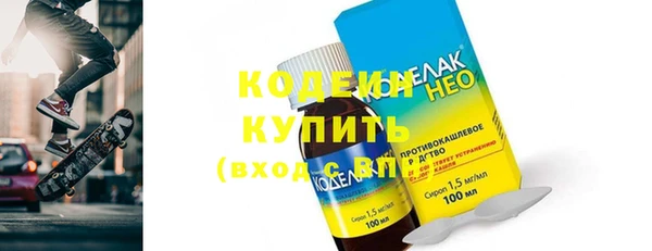 индика Верхний Тагил