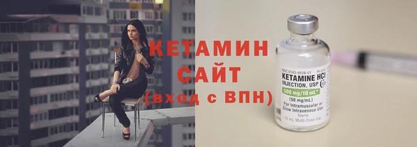 индика Верхний Тагил