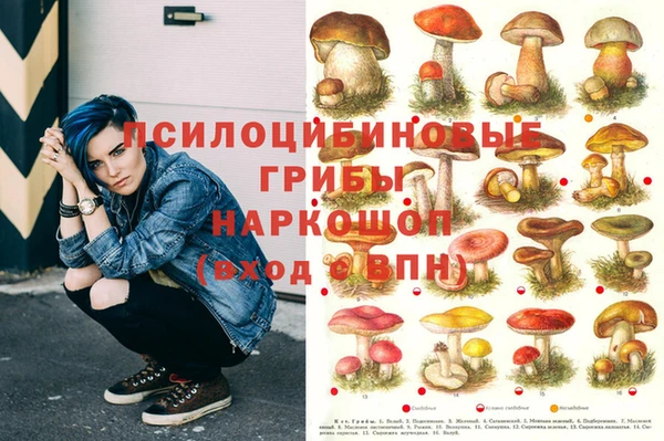 индика Верхний Тагил