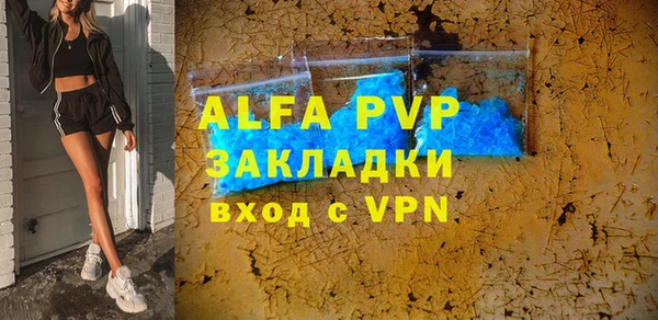 индика Верхний Тагил